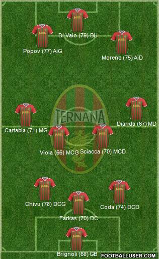 Ternana Formation 2014