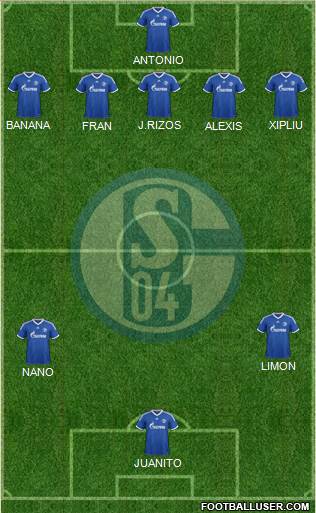 FC Schalke 04 Formation 2014