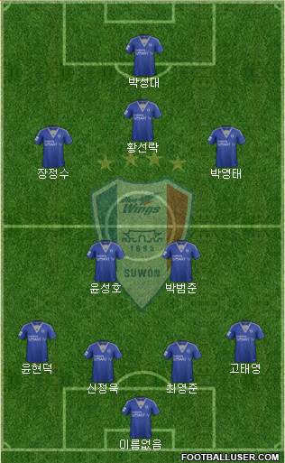 Suwon Samsung Blue Wings Formation 2014