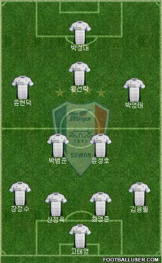 Suwon Samsung Blue Wings Formation 2014