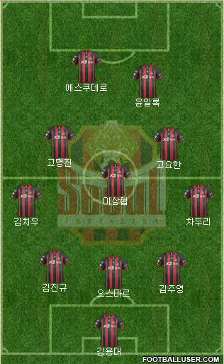 FC Seoul Formation 2014