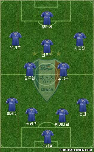 Suwon Samsung Blue Wings Formation 2014