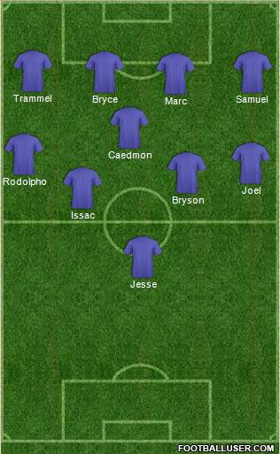 New York Red Bulls Formation 2014