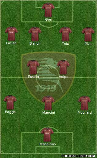 Salernitana Formation 2014