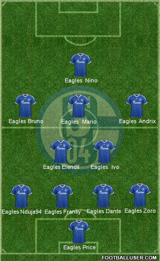 FC Schalke 04 Formation 2014