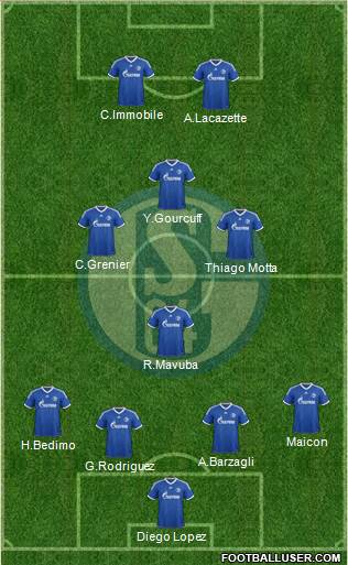 FC Schalke 04 Formation 2014