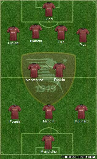 Salernitana Formation 2014