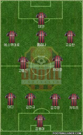 FC Seoul Formation 2014