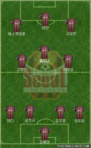 FC Seoul Formation 2014