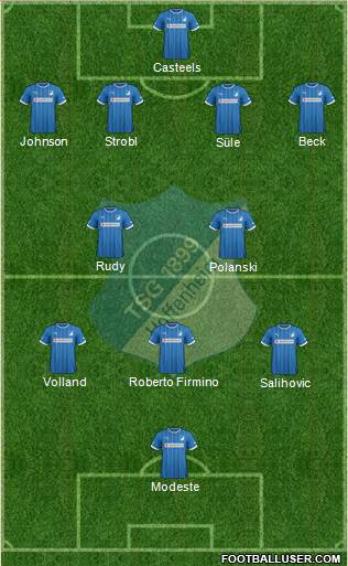 TSG 1899 Hoffenheim Formation 2014