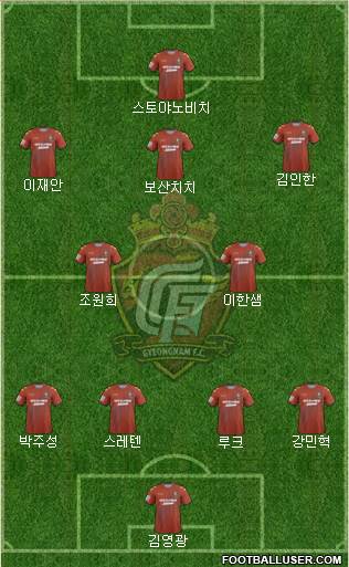 Gyeongnam FC Formation 2014