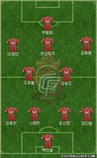 Gyeongnam FC Formation 2014