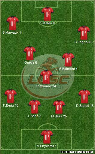 LOSC Lille Métropole Formation 2014