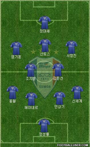 Suwon Samsung Blue Wings Formation 2014