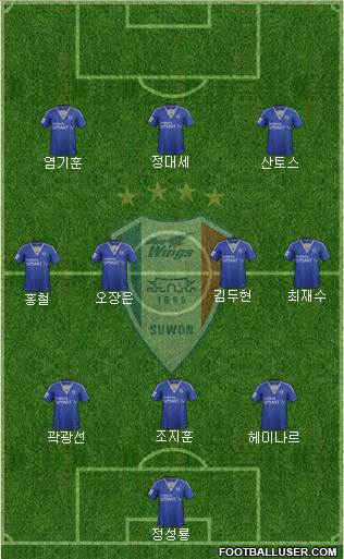 Suwon Samsung Blue Wings Formation 2014