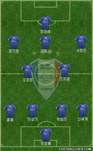 Suwon Samsung Blue Wings Formation 2014