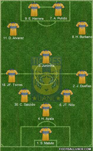 Club Universitario de Nuevo León Formation 2014