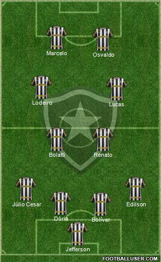 Botafogo FR Formation 2014