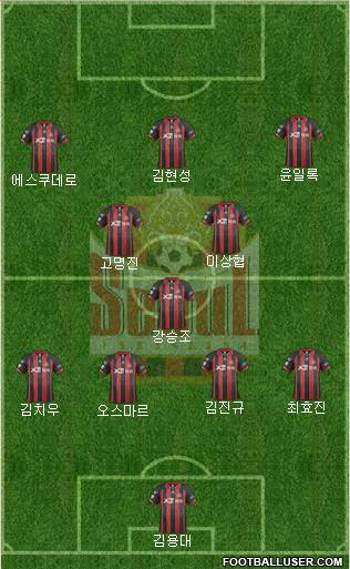 FC Seoul Formation 2014