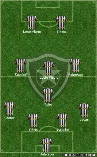 Botafogo FR Formation 2014