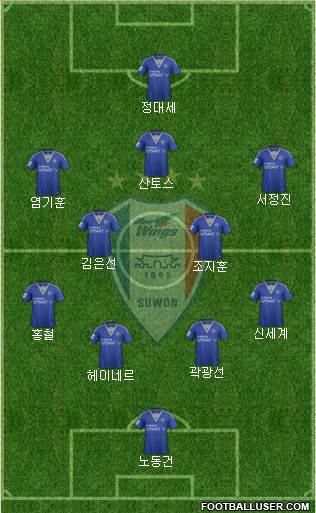 Suwon Samsung Blue Wings Formation 2014