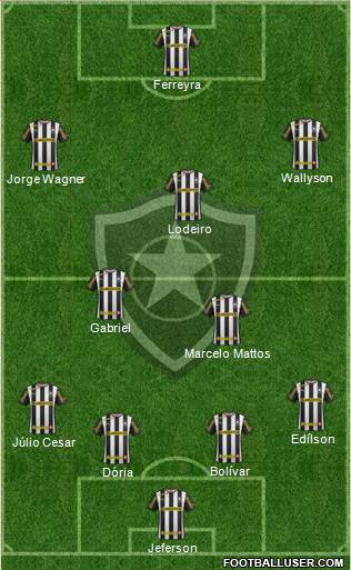 Botafogo FR Formation 2014