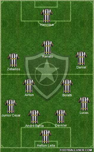 Botafogo FR Formation 2014