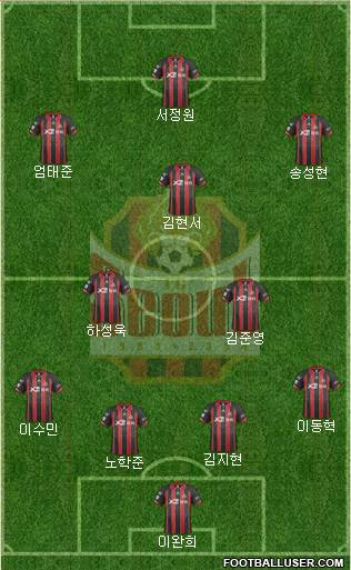 FC Seoul Formation 2014