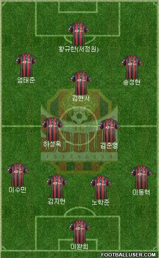 FC Seoul Formation 2014