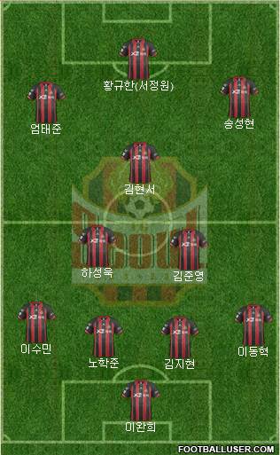 FC Seoul Formation 2014