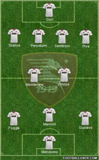 Salernitana Formation 2014