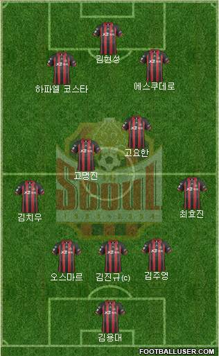 FC Seoul Formation 2014