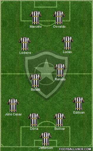 Botafogo FR Formation 2014