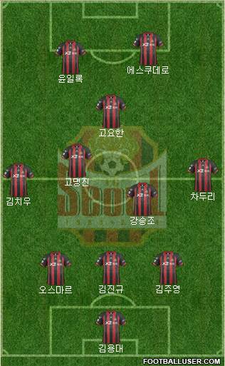 FC Seoul Formation 2014