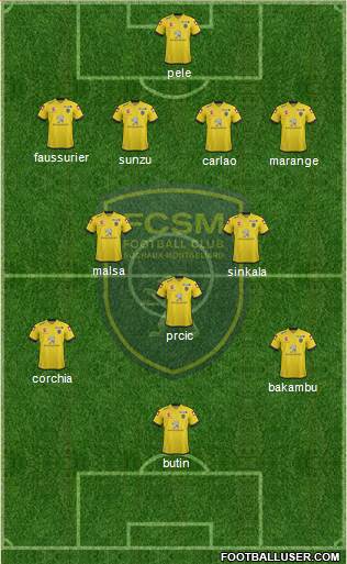 FC Sochaux-Montbéliard Formation 2014