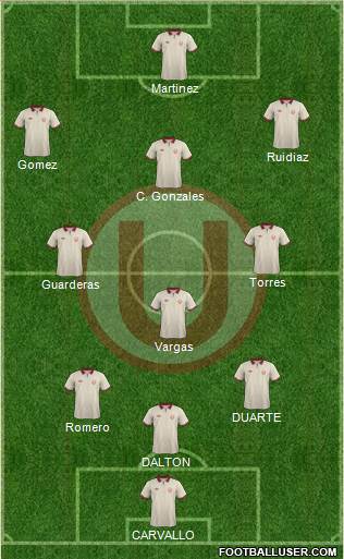 C Universitario D Formation 2014