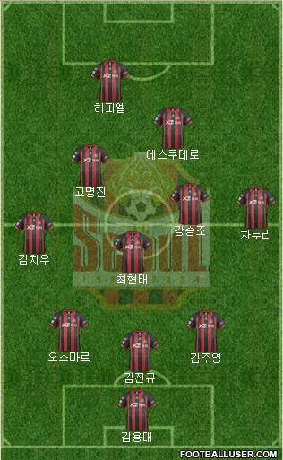 FC Seoul Formation 2014