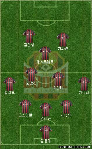 FC Seoul Formation 2014