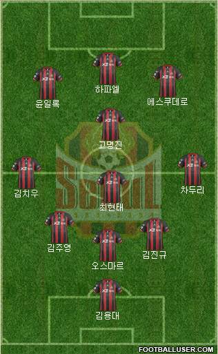 FC Seoul Formation 2014