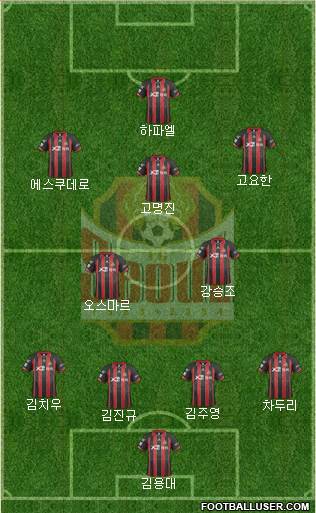 FC Seoul Formation 2014