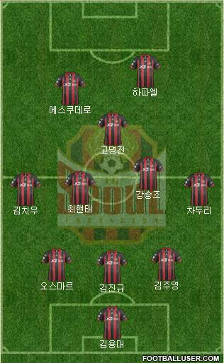 FC Seoul Formation 2014