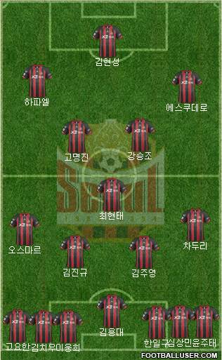 FC Seoul Formation 2014