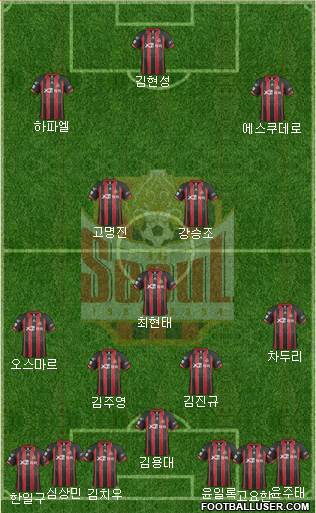 FC Seoul Formation 2014