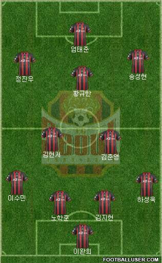 FC Seoul Formation 2014