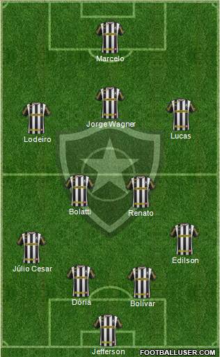 Botafogo FR Formation 2014