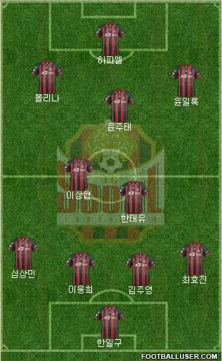 FC Seoul Formation 2014