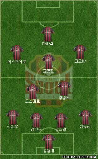 FC Seoul Formation 2014