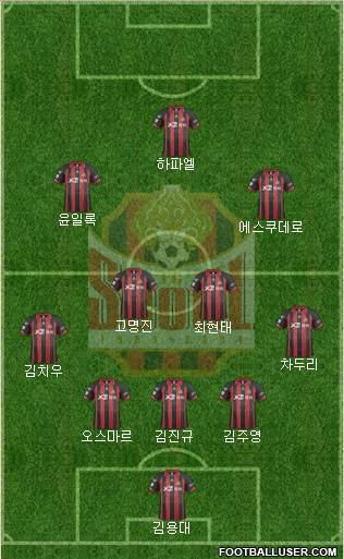 FC Seoul Formation 2014