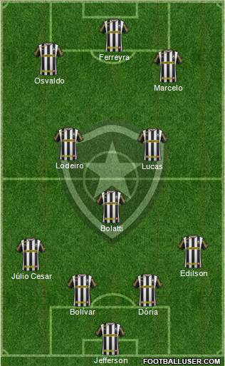 Botafogo FR Formation 2014