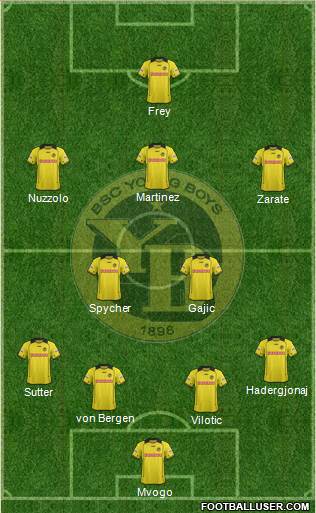 BSC Young Boys Formation 2014